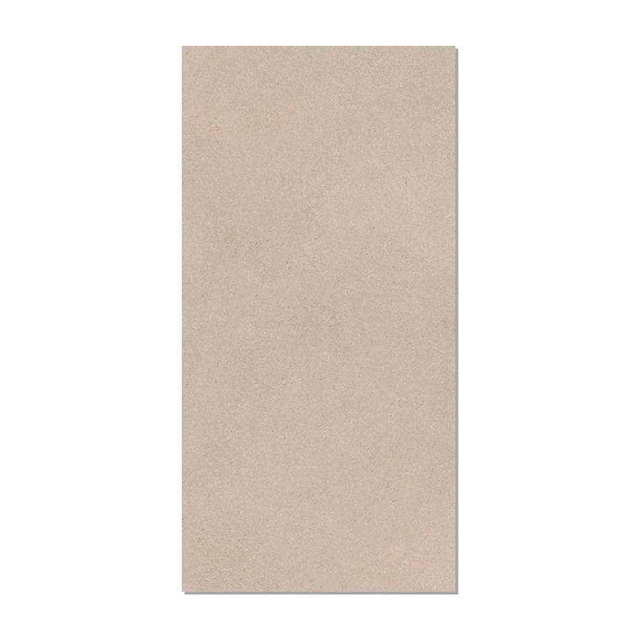 Gạch Taicera 60x120 G12L42JW-SD men matt