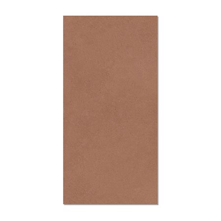 Gạch Taicera 60x120 G12L43JW-SD men matt