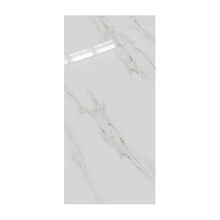Gạch Taicera 60x120 GP12022 men bóng