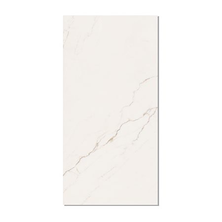 Gạch Taicera 60x120 GP12L52JW men bóng