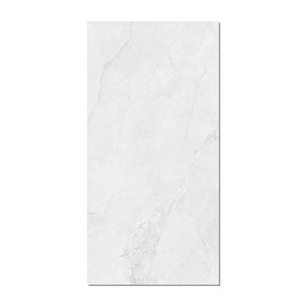 Gạch Taicera 60x120 GP12L58JW men bóng