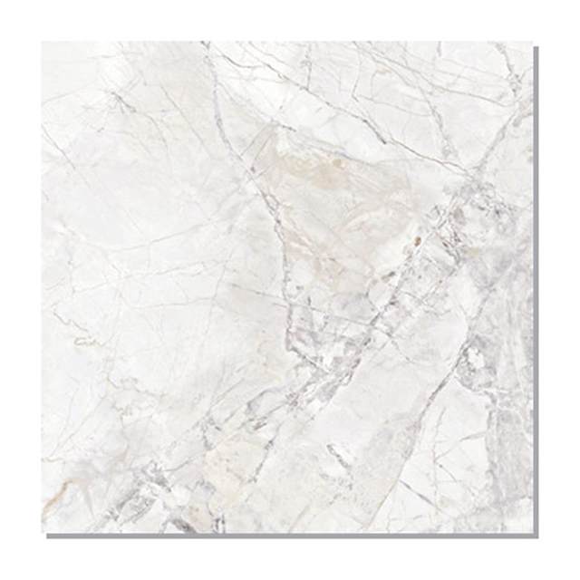 Gạch Taicera 80x80 G88L10JW-CA men matt