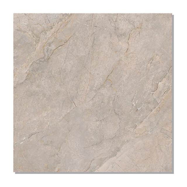 Gạch Taicera 80x80 G88L16JW-CA men matt