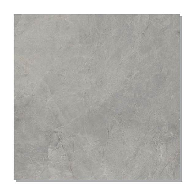 Gạch Taicera 80x80 G88L18JW-CA men matt
