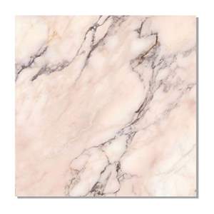 Gạch Taicera 80x80 G88L26JW-CA men matt