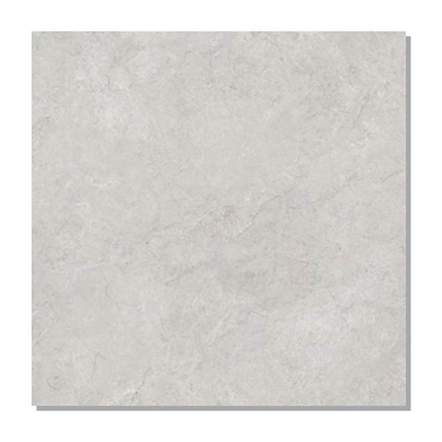 Gạch Taicera 80x80 G88L34JW-CA men matt
