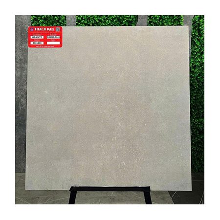 Gạch Thạch Bàn 80x80 PGM80-0241 granite