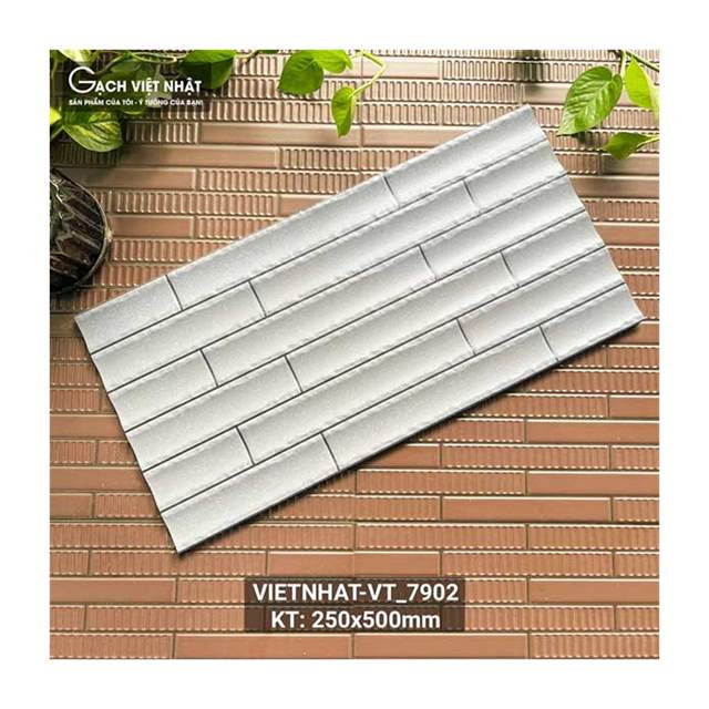 Gạch trang trí Việt Nhật 25x50 VT_7902