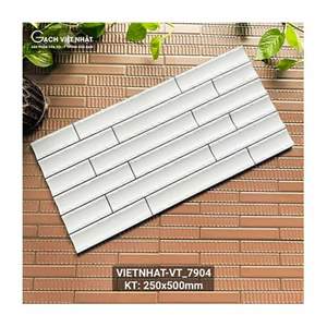 Gạch trang trí Việt Nhật 25x50 VT_7904