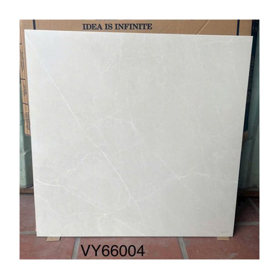 Gạch Việt Ý VY66004 60×60 lát nền