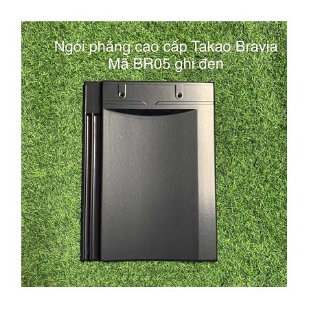 Ngói phẳng Takao Bravia BR05 ghi đen