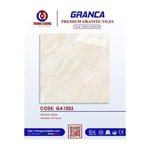 Gạch Porcelain Thắng Cường 100x100 GA1003