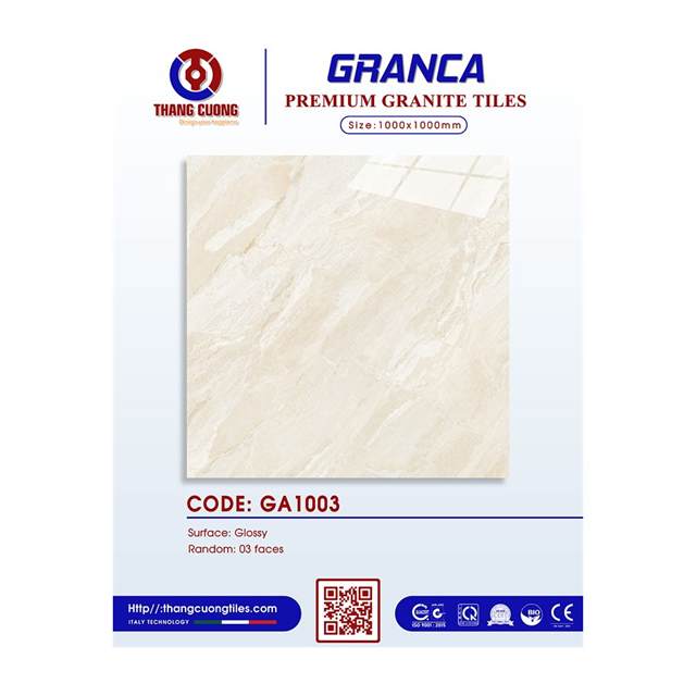 Gạch Porcelain Thắng Cường 100x100 GA1003
