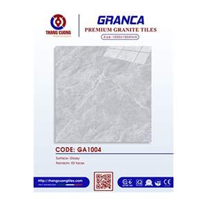 Gạch Porcelain Thắng Cường 100x100 GA1004