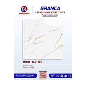 Gạch Porcelain Thắng Cường 100x100 GA1005