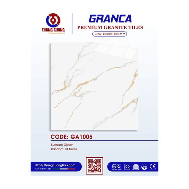 Gạch Porcelain Thắng Cường 100x100 GA1005