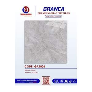 Gạch Porcelain Thắng Cường 100x100 GA1006
