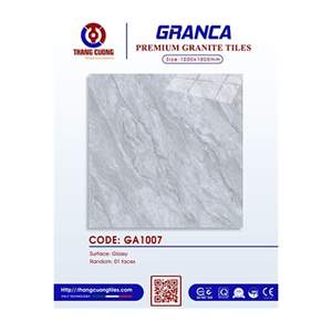 Gạch Porcelain Thắng Cường 100x100 GA1007