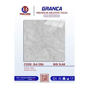 Gạch Porcelain Thắng Cường 120x120 GA1206