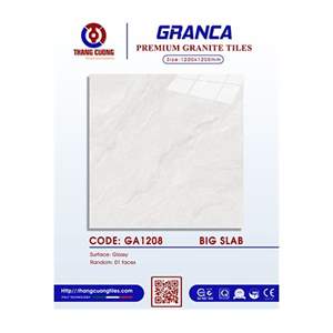 Gạch Porcelain Thắng Cường 120x120 GA1208