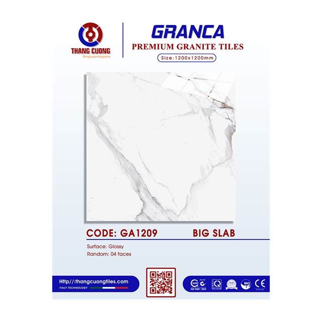 Gạch Porcelain Thắng Cường 120x120 GA1209