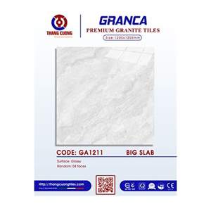 Gạch Porcelain Thắng Cường 120x120 GA1211