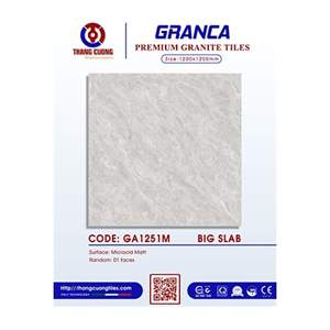 Gạch Porcelain Thắng Cường 120x120 GA1251M