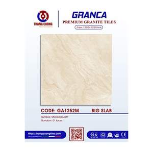 Gạch Porcelain Thắng Cường 120x120 GA1252