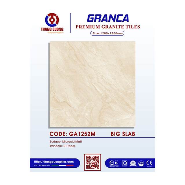 Gạch Porcelain Thắng Cường 120x120 GA1252