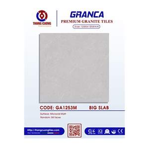 Gạch Porcelain Thắng Cường 120x120 GA1253M