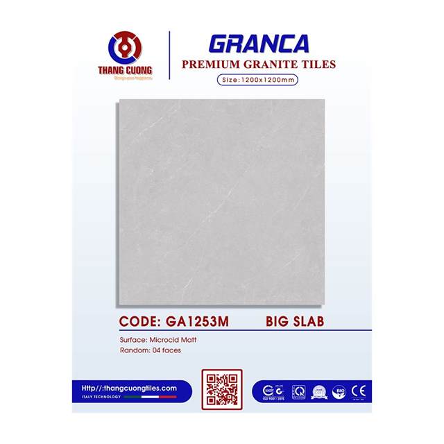 Gạch Porcelain Thắng Cường 120x120 GA1253M