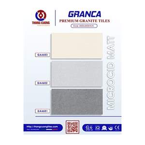 Gạch Porcelain Thắng Cường 40x80 GA4601-02-03