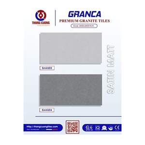 Gạch Porcelain Thắng Cường 40x80 GA4604-05