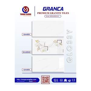 Gạch Porcelain Thắng Cường 40x80 GA4805-06D