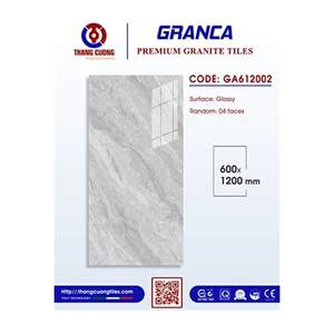 Gạch Porcelain Thắng Cường 60x60 GA612002