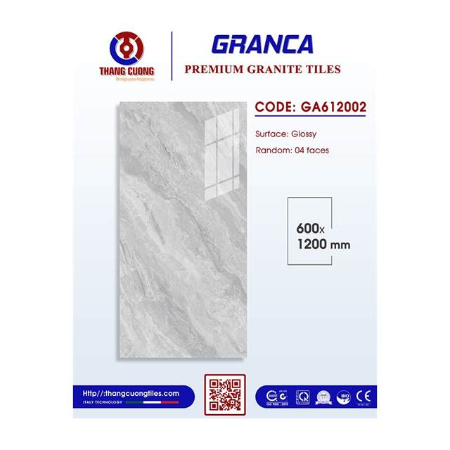 Gạch Porcelain Thắng Cường 60x60 GA612002