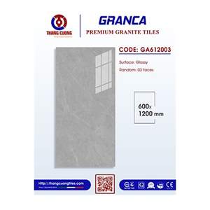 Gạch Porcelain Thắng Cường 60x120 GA612003
