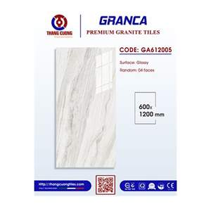 Gạch Porcelain Thắng Cường 60x120 GA612005