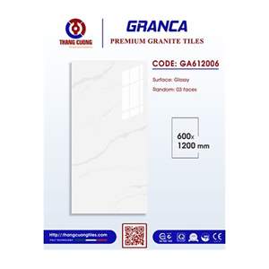 Gạch Porcelain Thắng Cường 60x120 GA612006