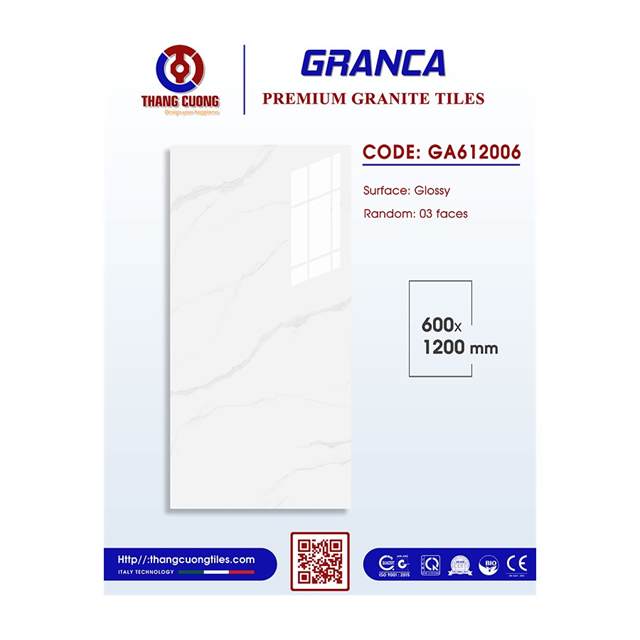 Gạch Porcelain Thắng Cường 60x120 GA612006