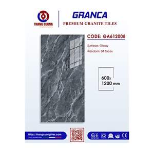 Gạch Porcelain Thắng Cường 60x120 GA612008