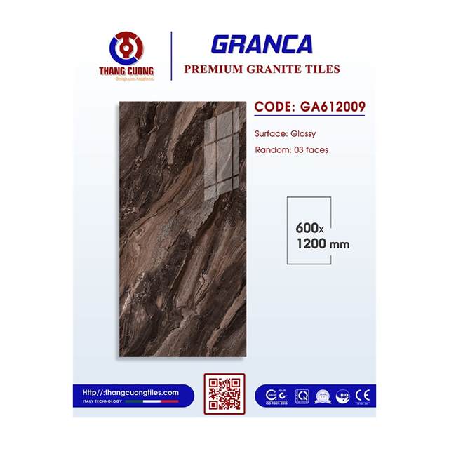 Gạch Porcelain Thắng Cường 60x120 GA612009