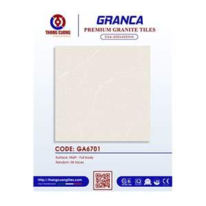 Gạch Porcelain Thắng Cường 60x60 GA6701