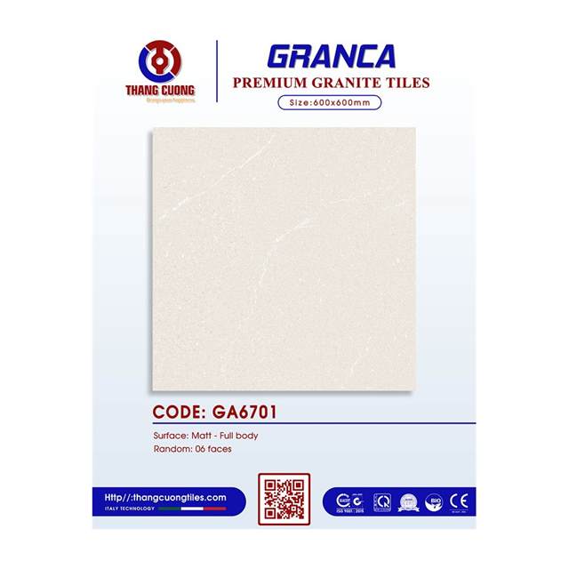 Gạch Porcelain Thắng Cường 60x60 GA6701