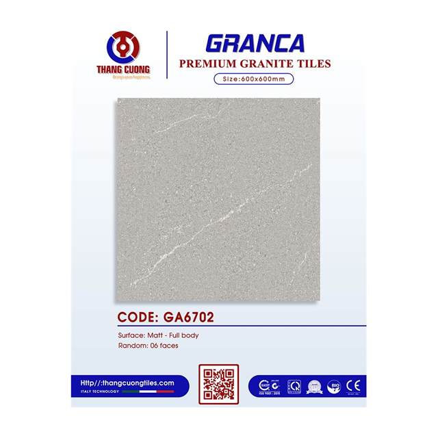 Gạch Porcelain Thắng Cường 60x60 GA6702