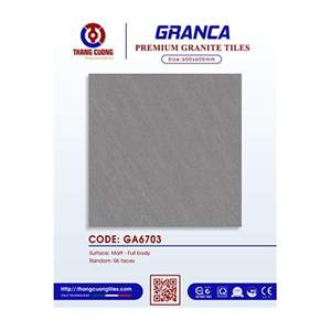 Gạch Porcelain Thắng Cường 60x60 GA6703