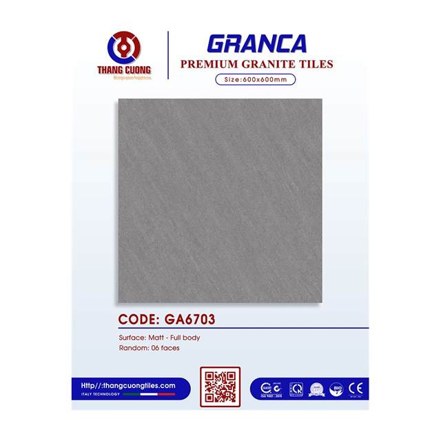 Gạch Porcelain Thắng Cường 60x60 GA6703