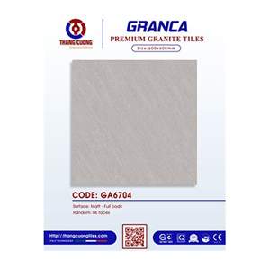 Gạch Porcelain Thắng Cường 60x60 GA6704