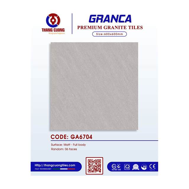 Gạch Porcelain Thắng Cường 60x60 GA6704