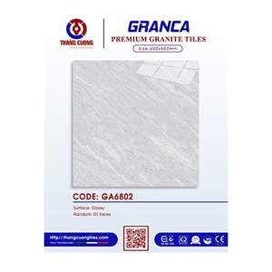 Gạch Porcelain Thắng Cường 60x60 GA6802
